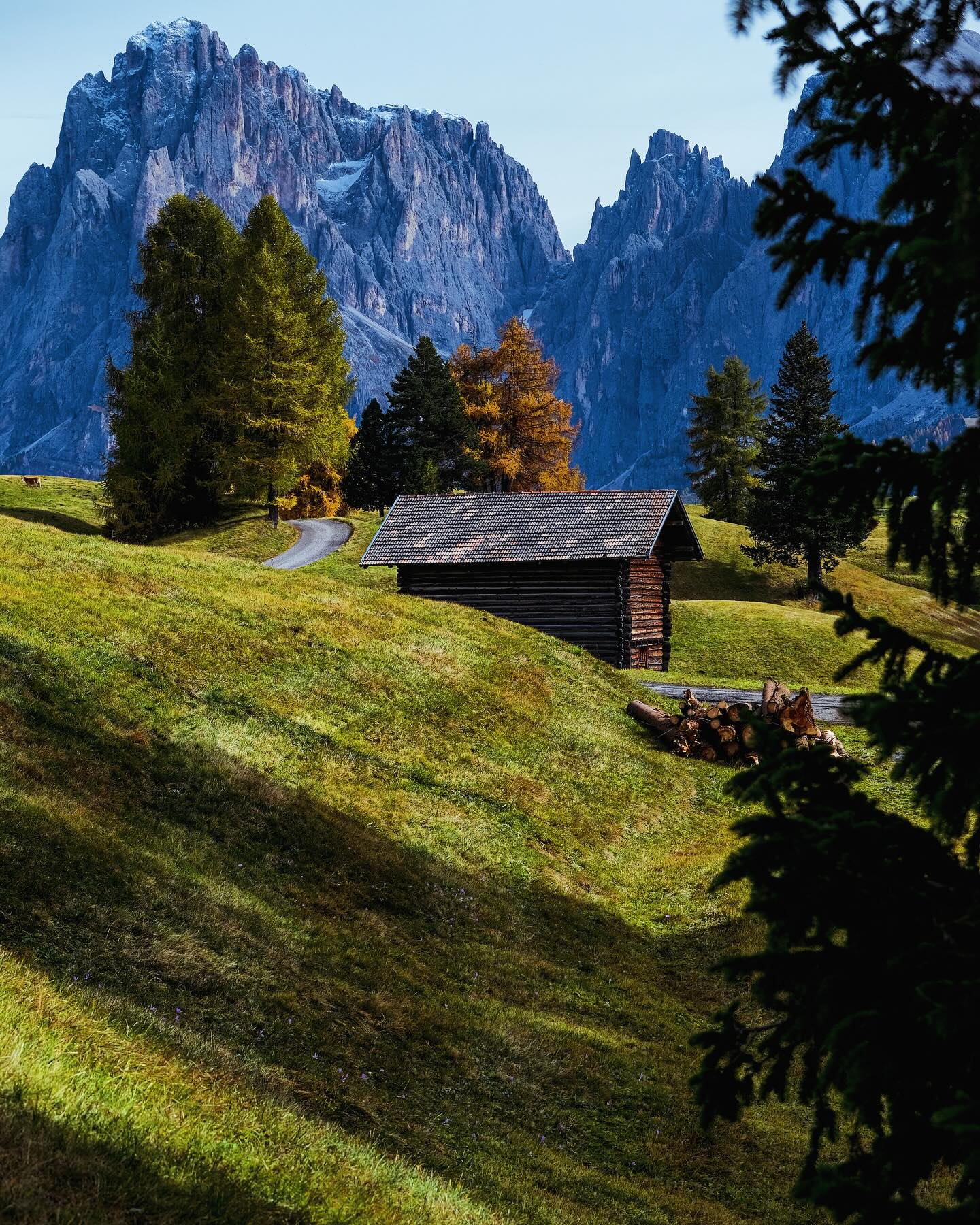 Le Dolomiti all'alba, tra boschi e cime innevate